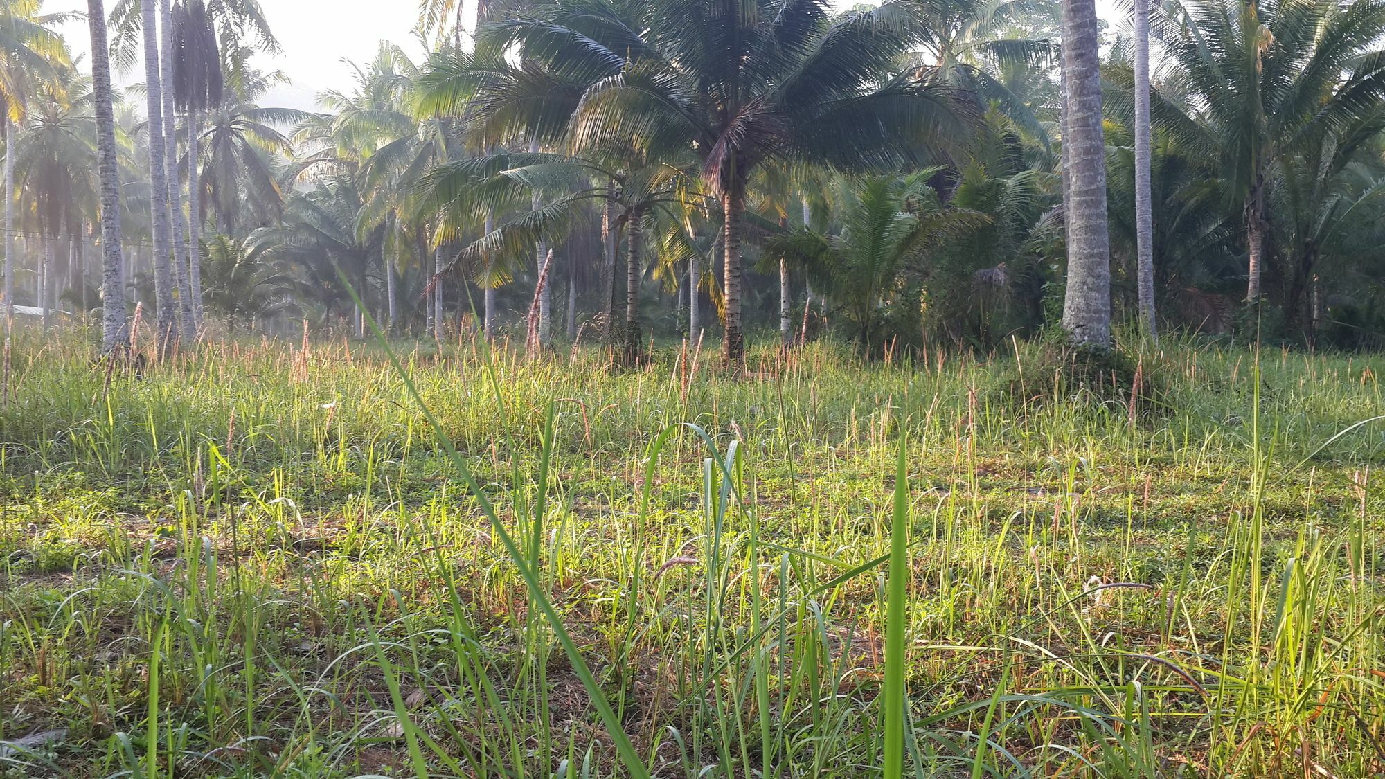 Hotel Baan Phuean Koh Kood Ko Kut Esterno foto